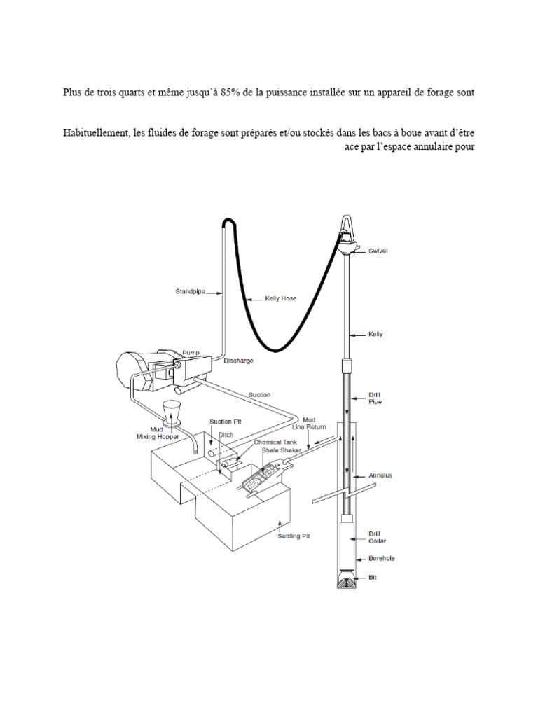 Systeme de Circulation | PDF