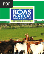 BOVINO DE CORTE