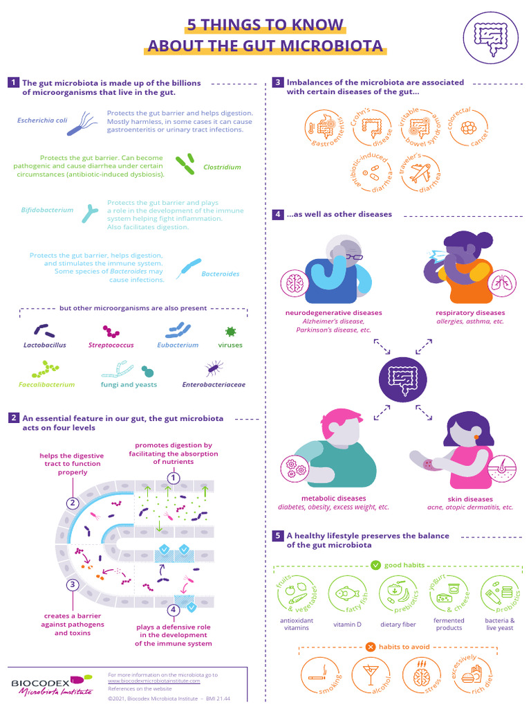 (Infographic) 5 Things To Know About Gut Microbiota - EN | PDF