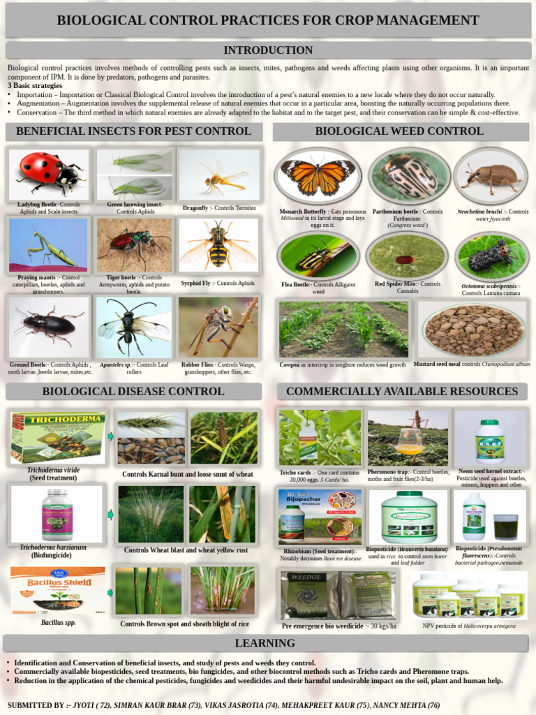 Biological Pest Control Strategies for Crops | PDF | Biological Pest ...