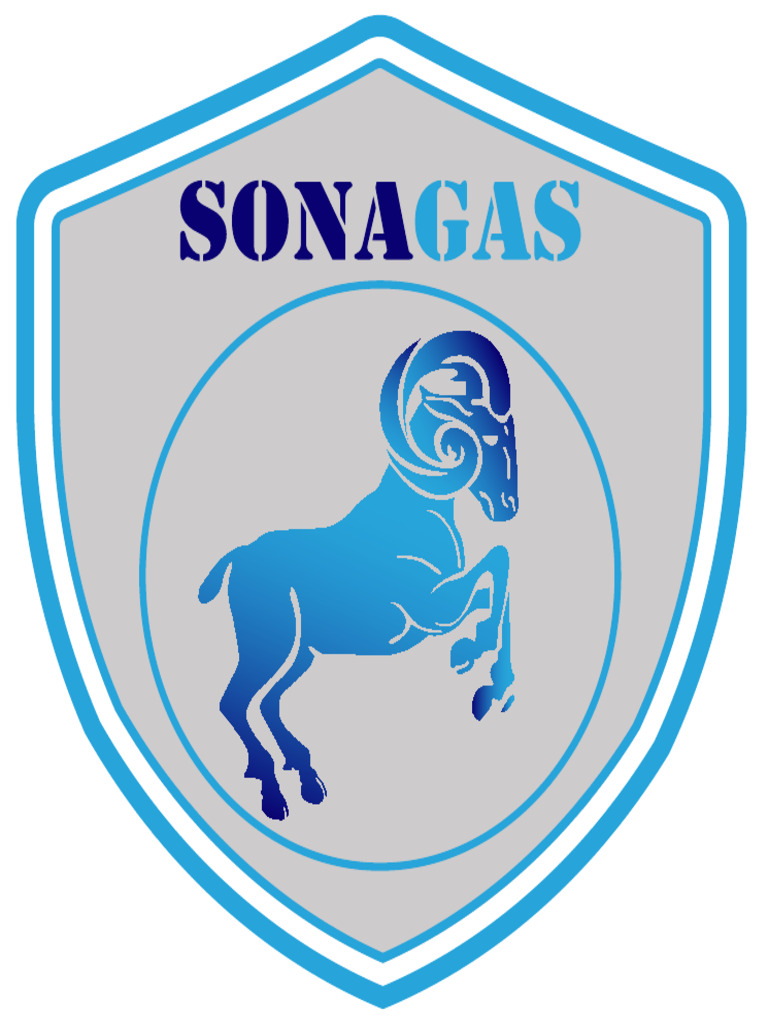 Logo Sonagas HD | PDF