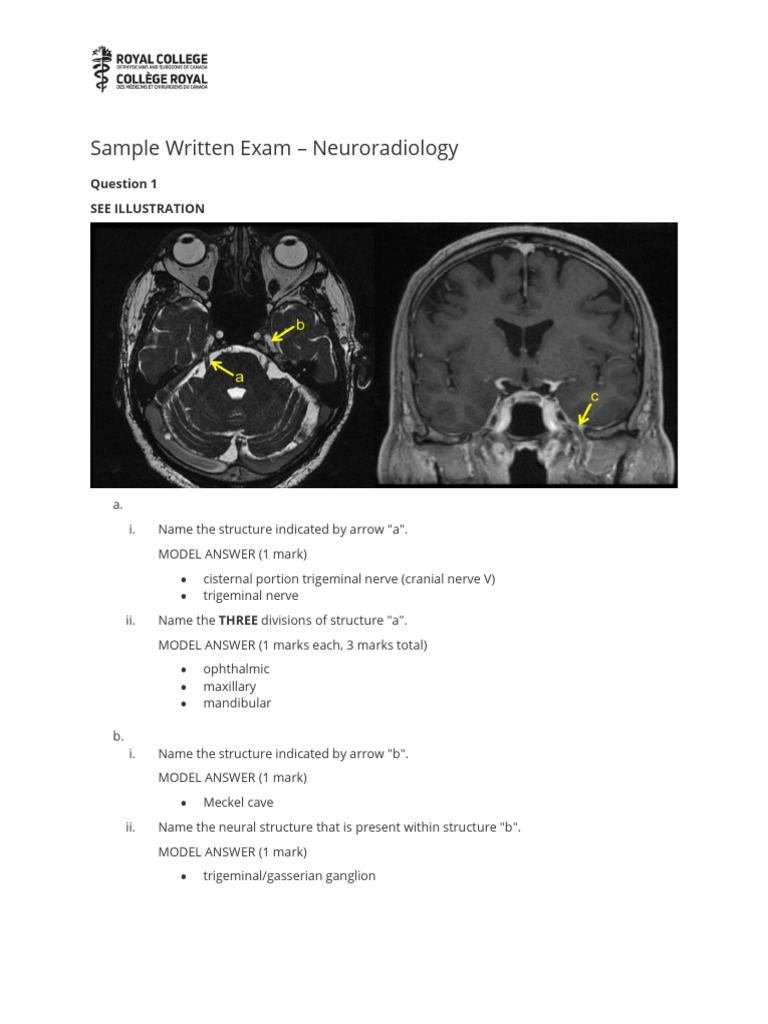 Neuroradiology Saq Sample Exam e | PDF | Magnetic Resonance Imaging ...