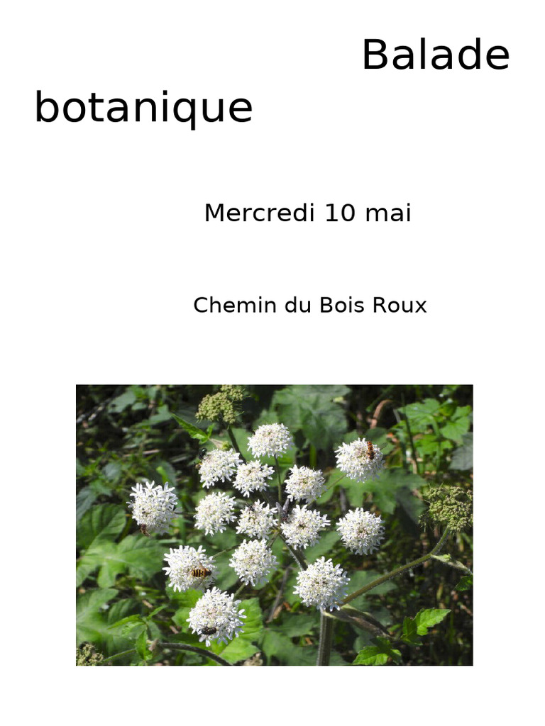 Balbot 2 | PDF