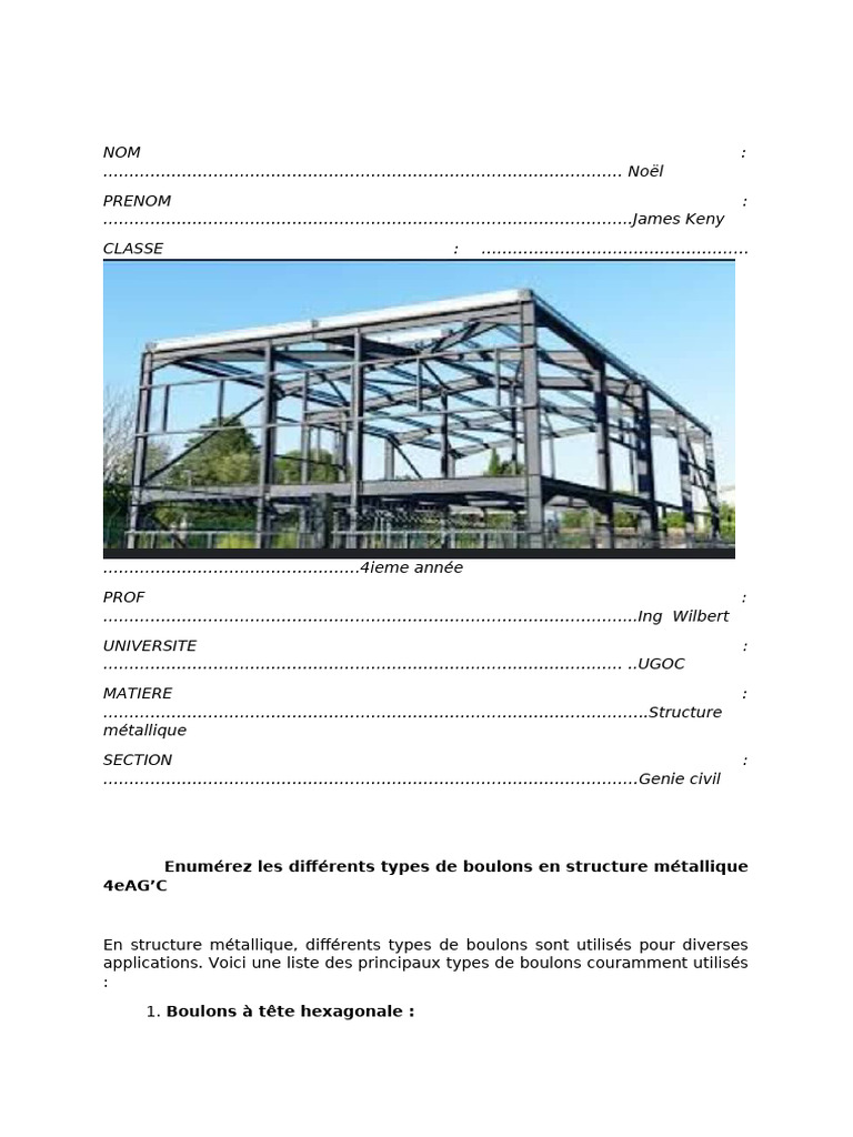 Devoir Structure Métallique II | PDF