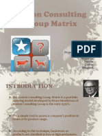 Boston Consulting Group Matrix