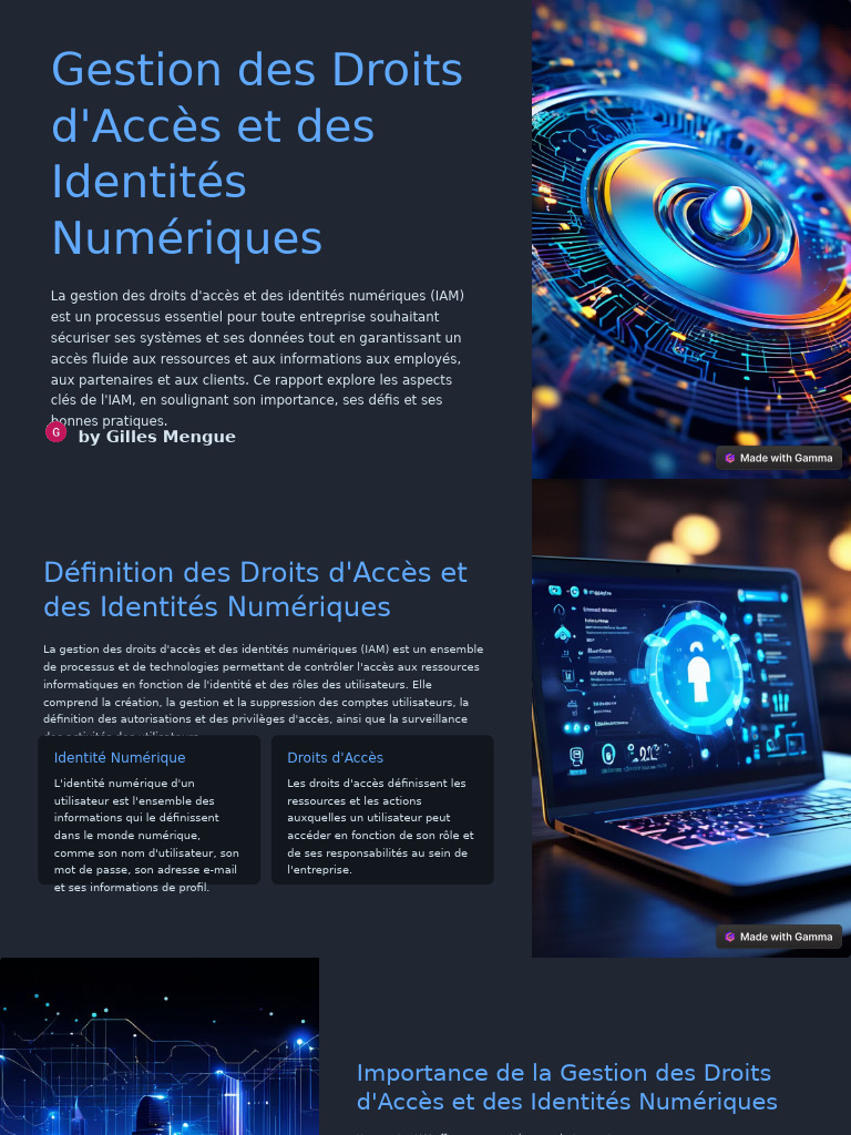 Gestion Des Droits DAcces Et Des Identites Numeriques | PDF