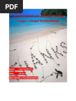 Download Fungsi Media Massa by Lelo Susilo SN75985768 doc pdf
