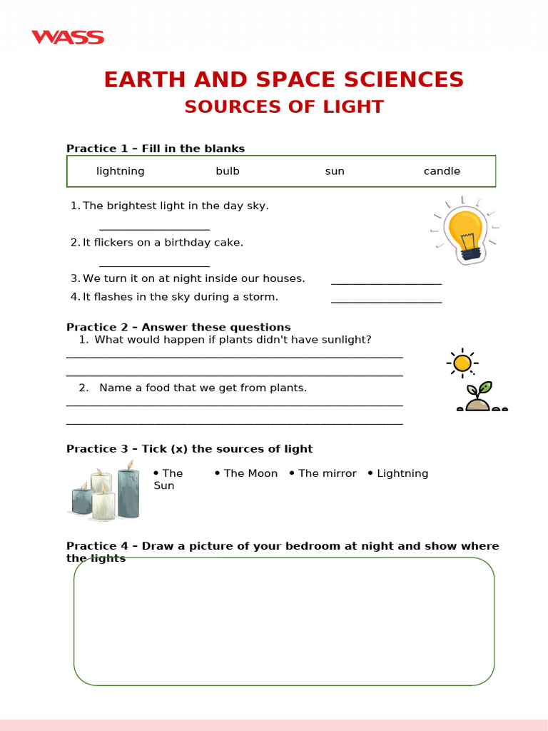 Science - Year 3 - Term 3 | PDF