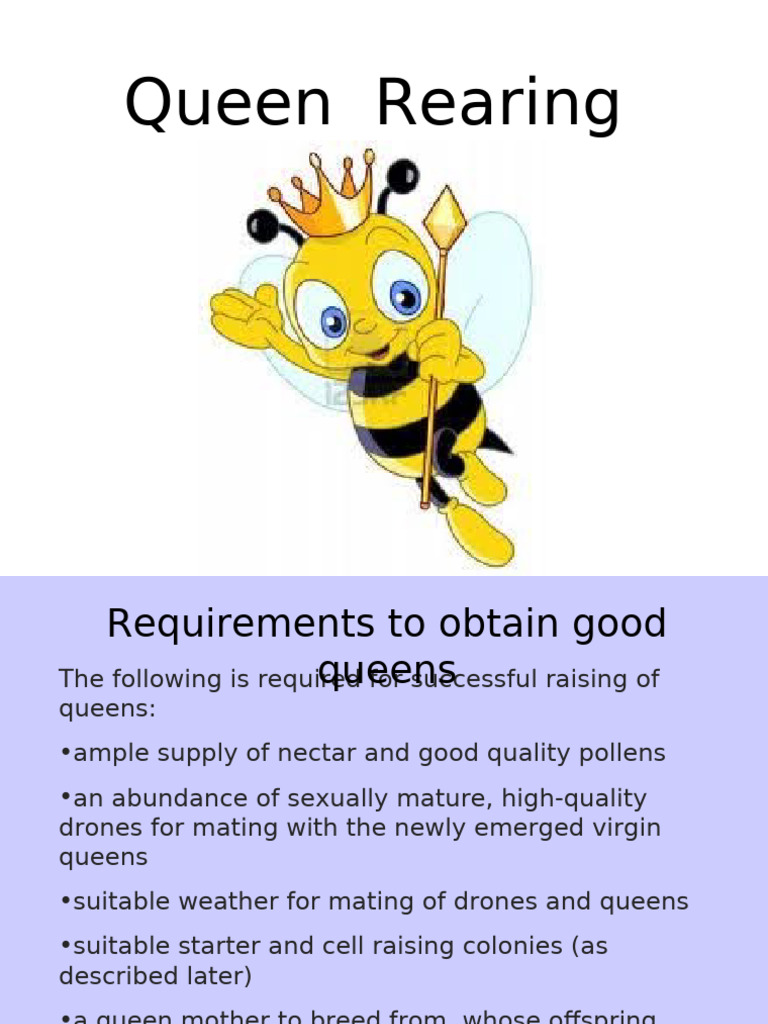Queen Rearing Presentation | PDF