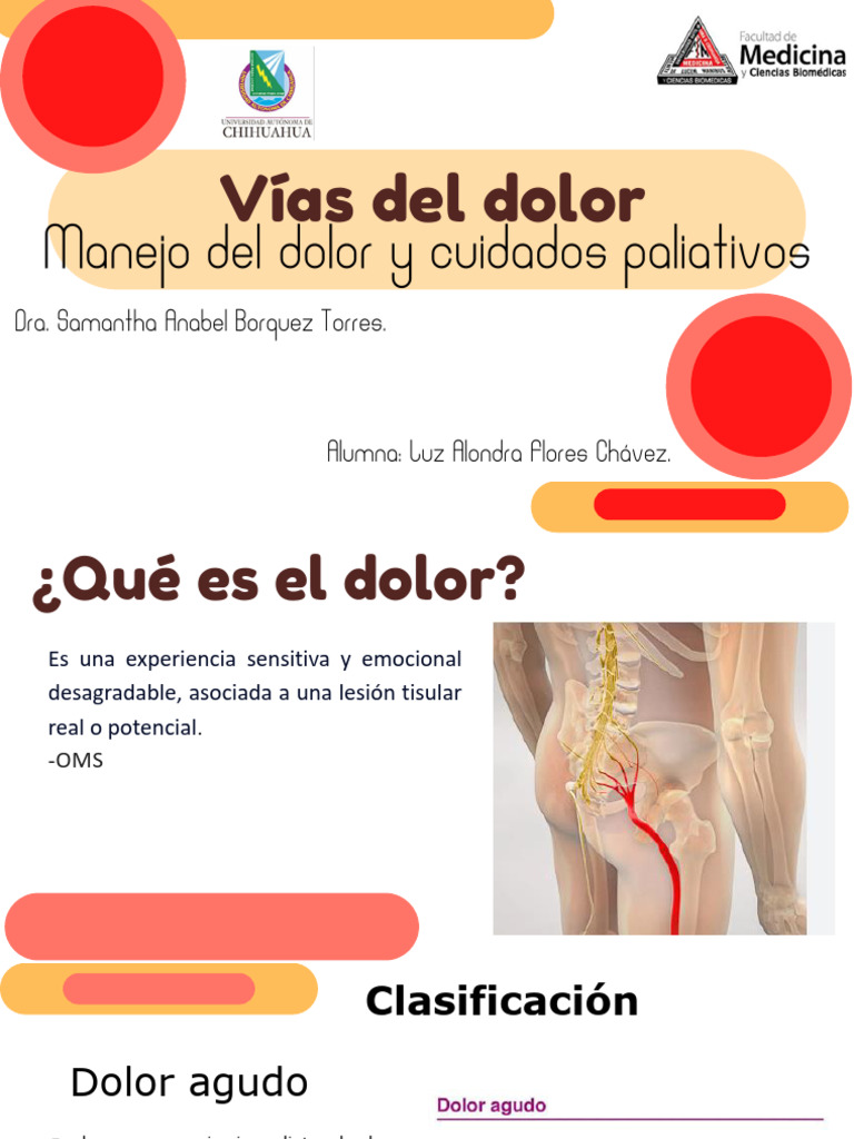 Vías Del Dolor | PDF