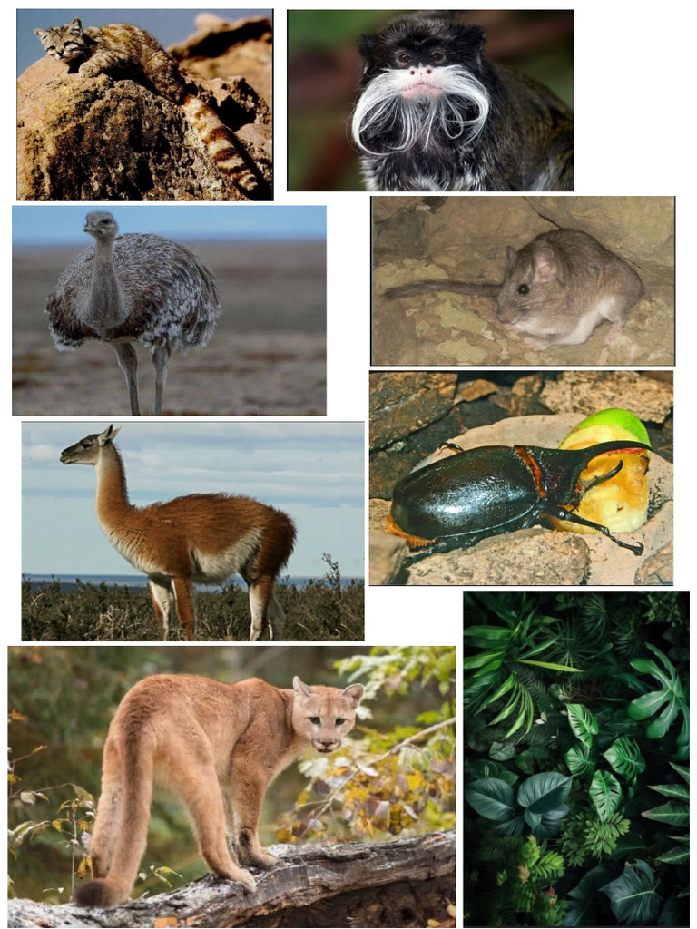 Animales Extintos | PDF