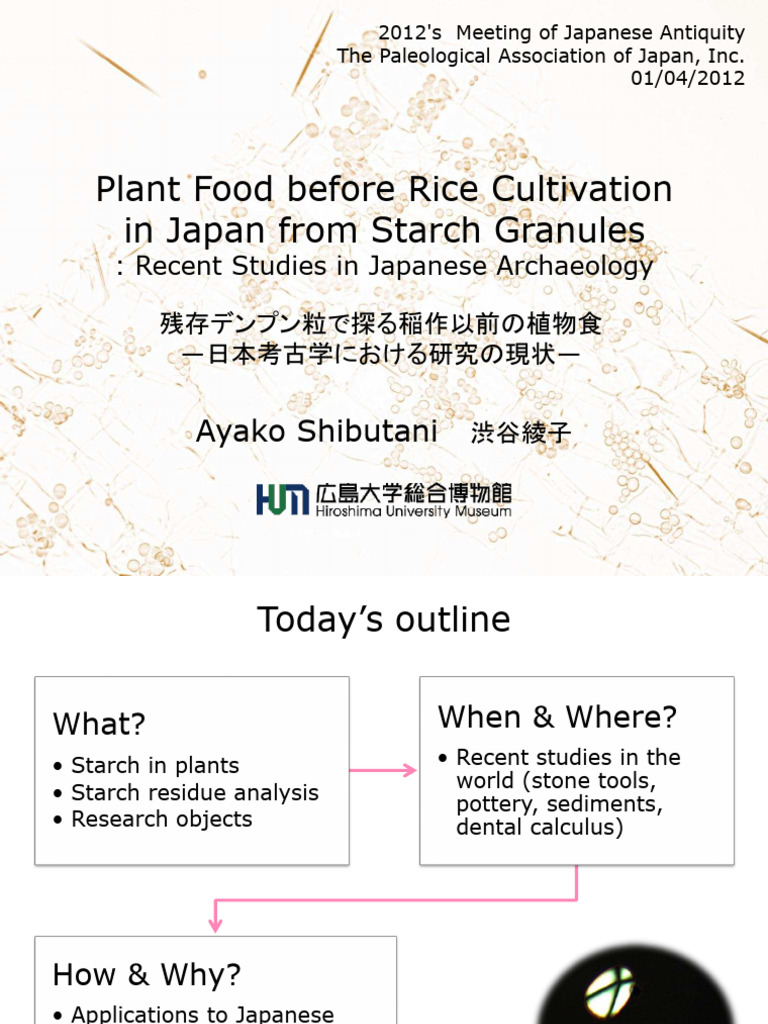 Plant Food Before Rice Cultivation in Ja | PDF