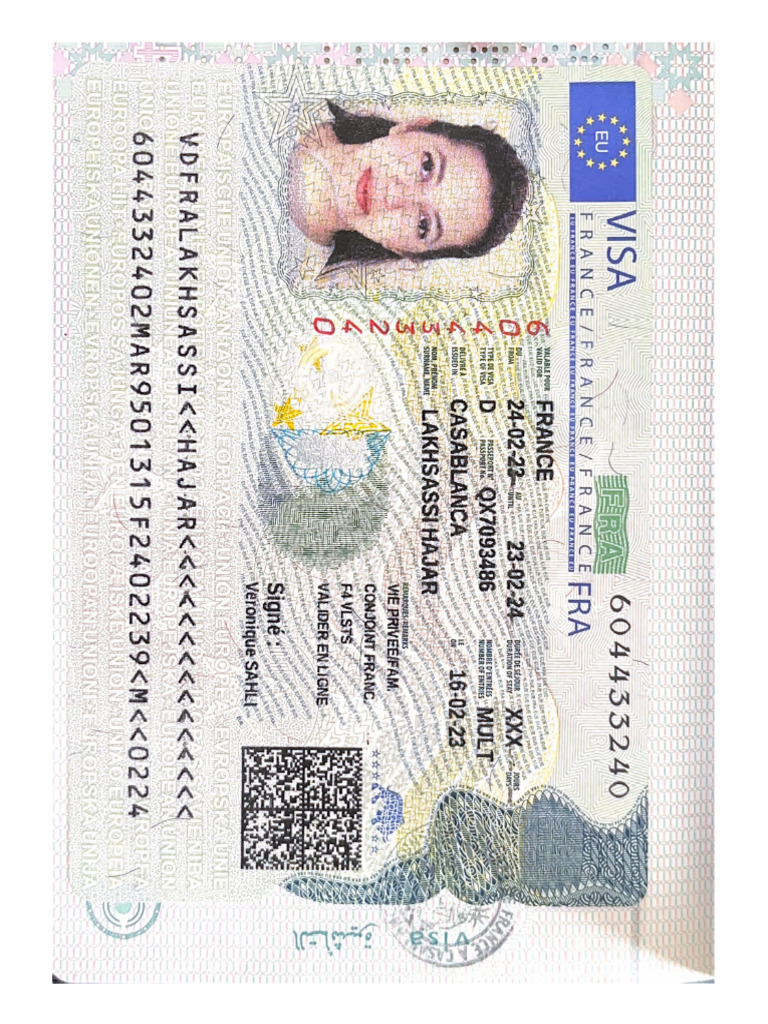 Visa | PDF