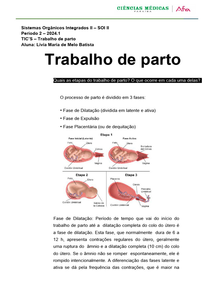 TICS Trabalho de Parto PDF | PDF