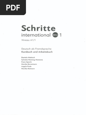 Schritte 1 Neu A1.1 | PDF