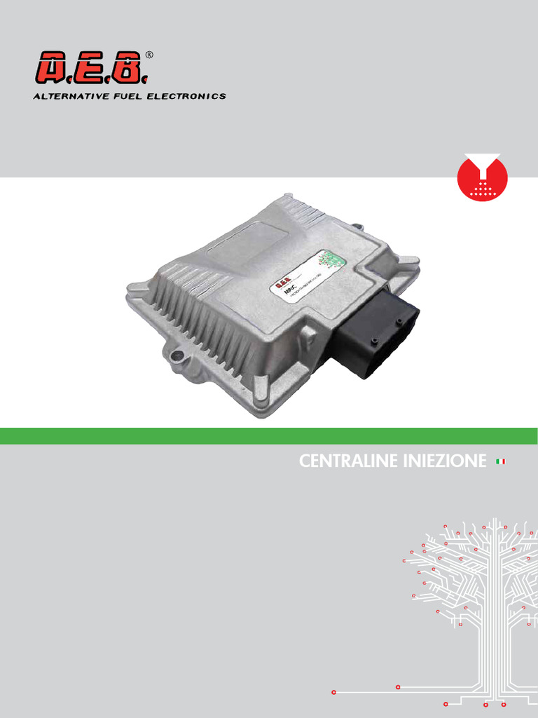 ECU Iniezione Gas AEB: Funzioni e Vantaggi | PDF | Rotating Machines ...