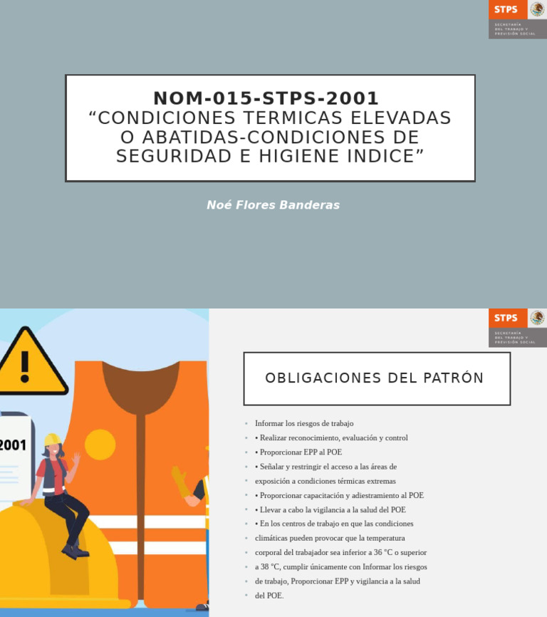 Nom 015 STPS 2001 | PDF