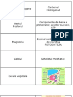 Biologie Flash Card