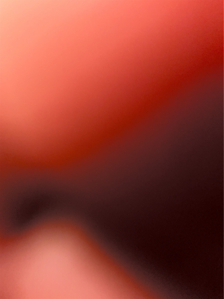 Chunk | PDF