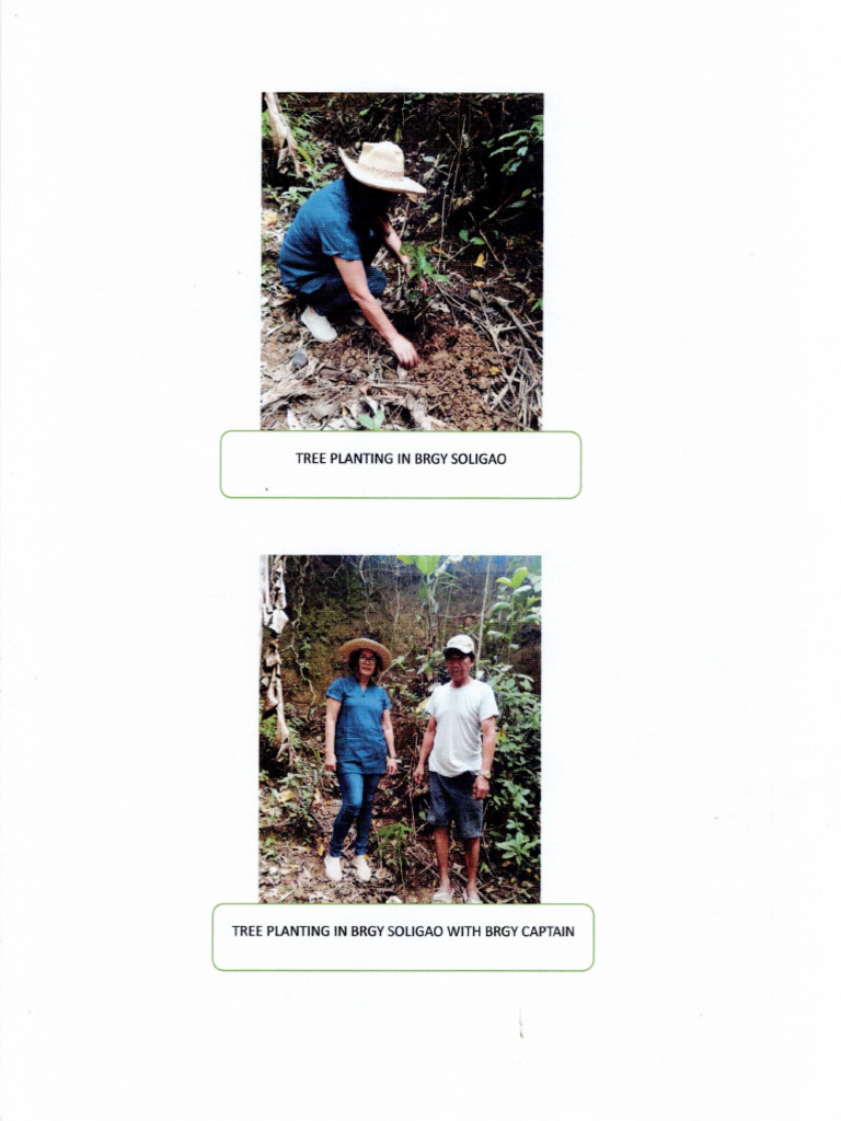 Tree Planting Pic | PDF