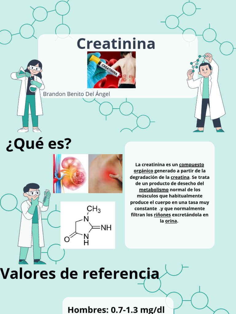 Creatinina | PDF | Creatinina | Especialidades Medicas