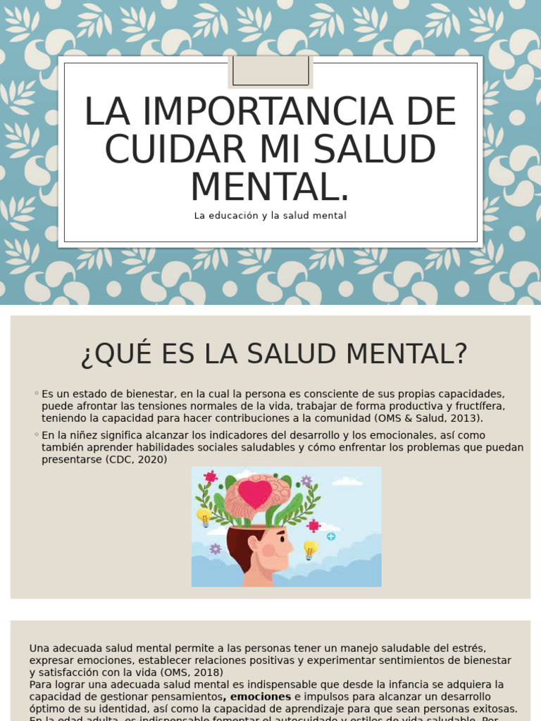 La Importancia de Cuidar Mi Salud Mental | PDF
