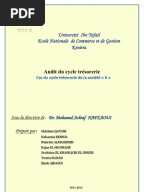 Exemplequestionnaireaudit