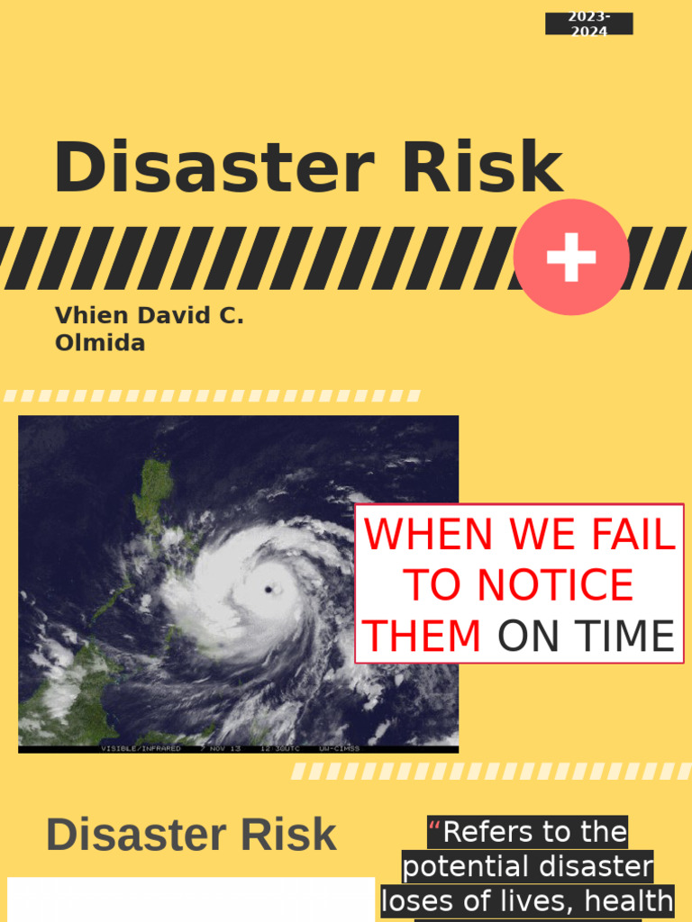 Disaster Risk | PDF