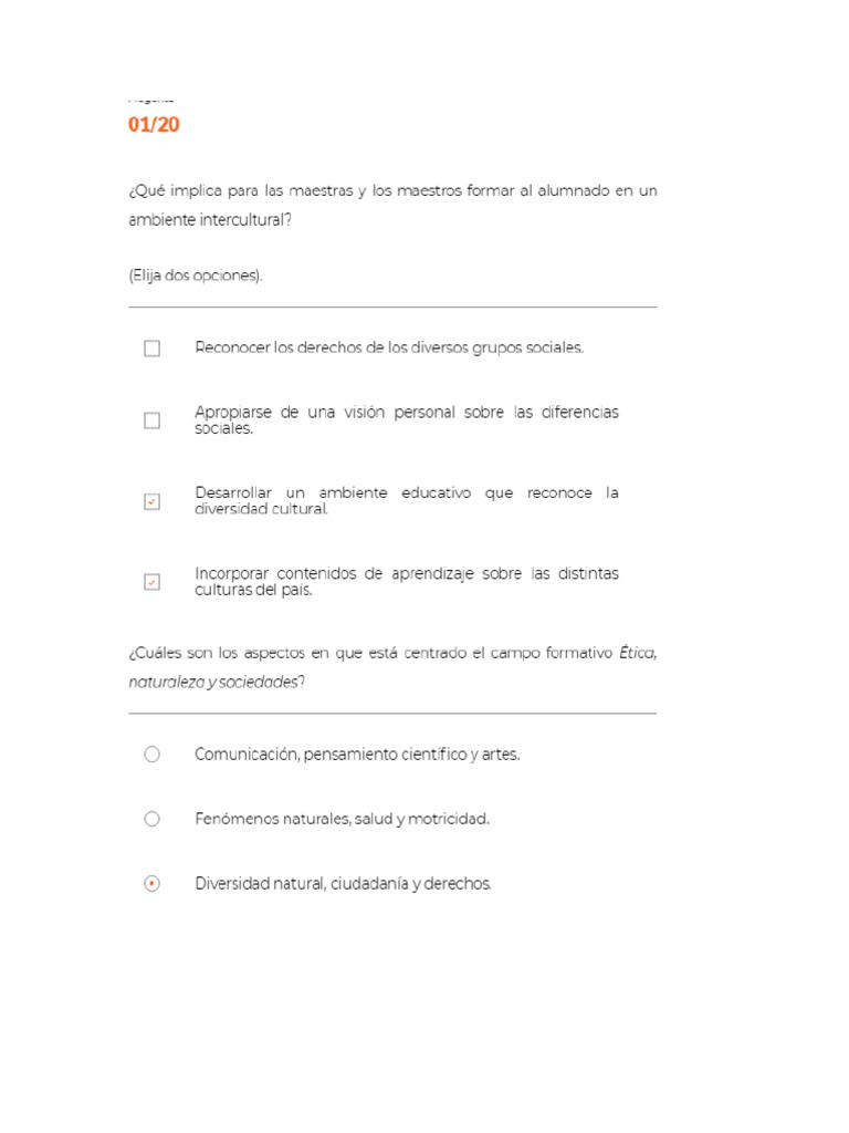 Habilidades para Ejercer La Docencia en El Marco de La Nem | PDF