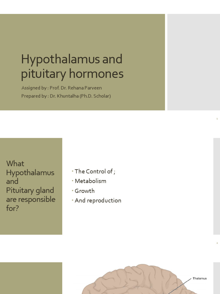 Hypothalamus and Pituitary Hormones | PDF | Gonadotropin | Luteinizing ...