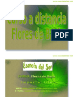 EDS-Curso Flores de Bach