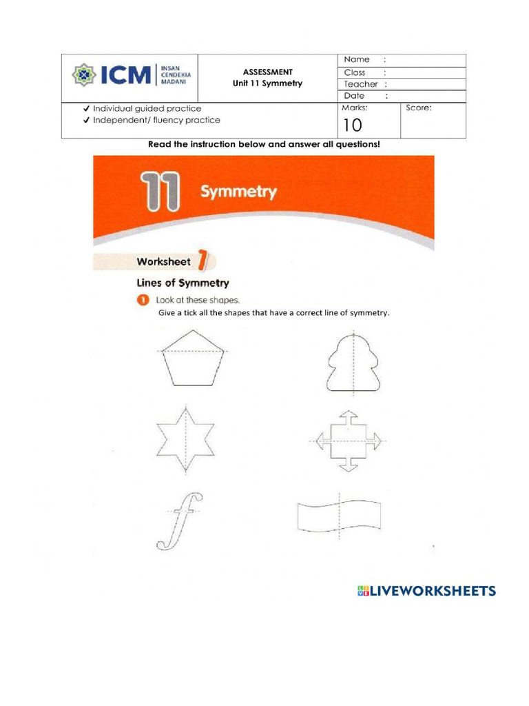 Math Assessment Unit 11 Symmetry | PDF