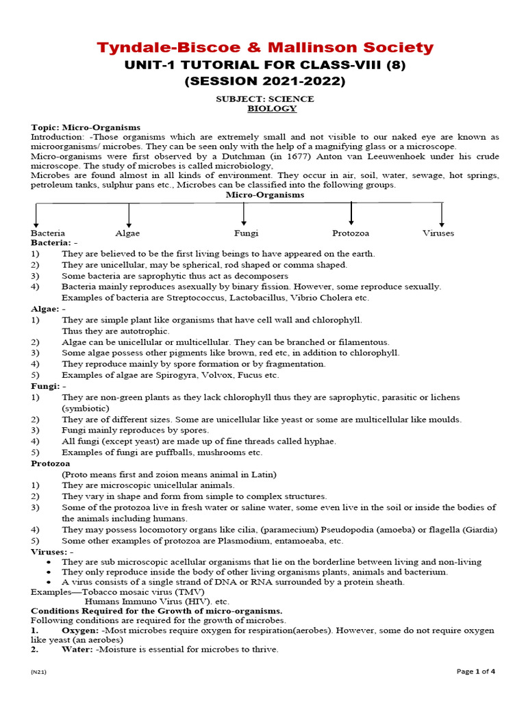 Biology 8 U1 Tutorial 2021 22 | PDF