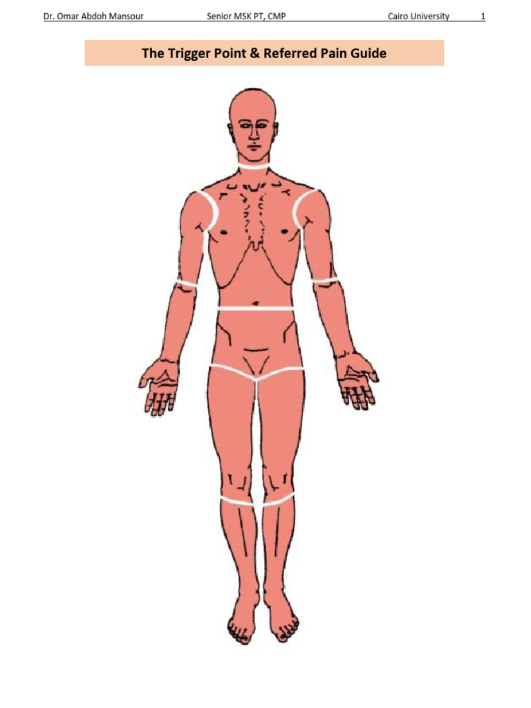 Dry Needling Points For All Body Muscles 1676049959 | PDF