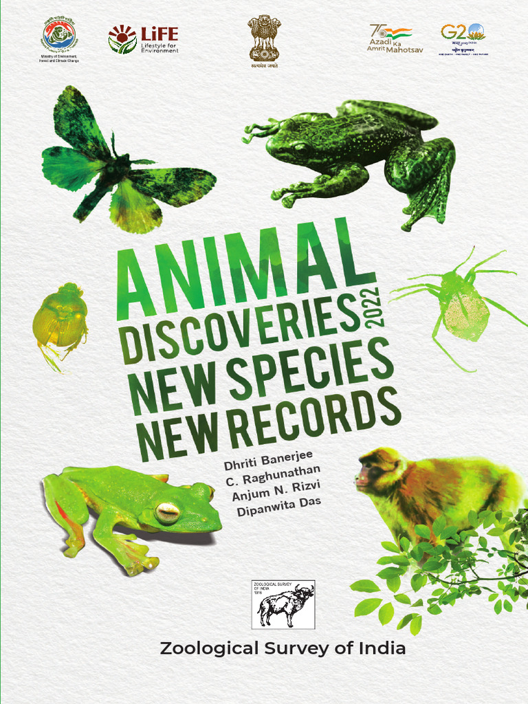 Animal | PDF