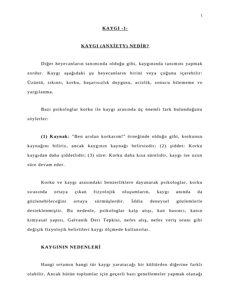 KAYGI | PDF