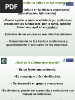 Cultura organizacional