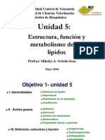 Lipidos 1