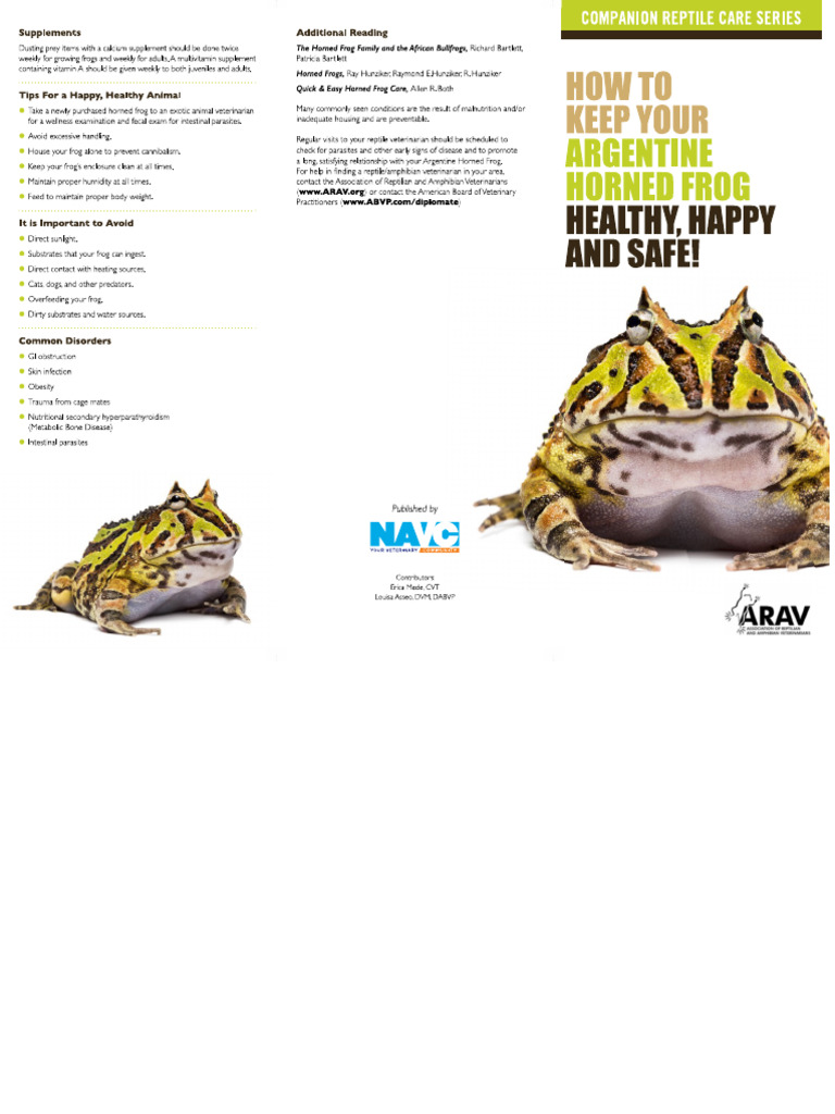 Argentine Horned Frog | PDF