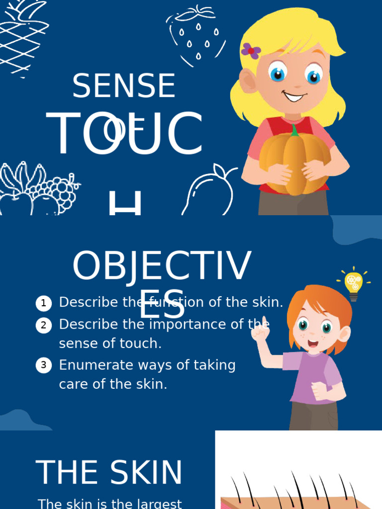 Sense Of Touch Science Presentation Pdf