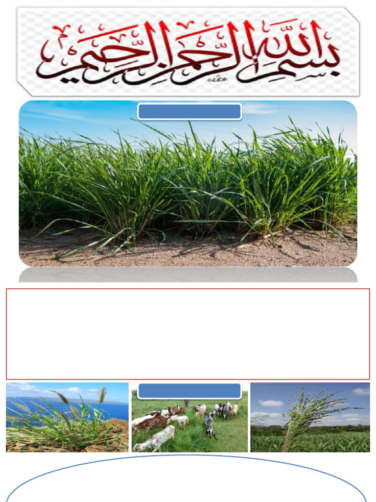 L-1 Introduction To Range and Range Management | PDF