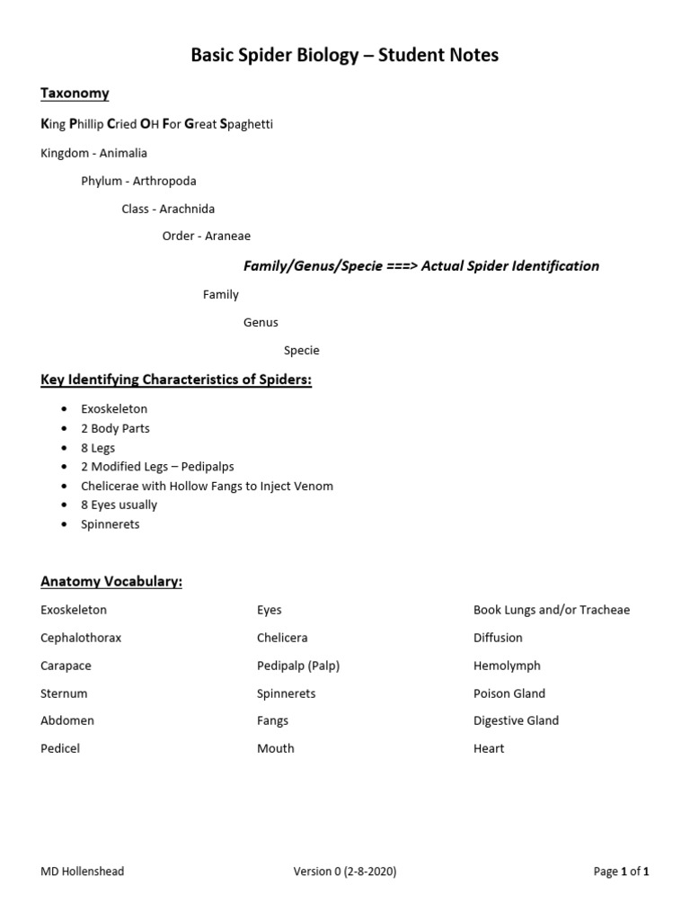 Student Notes For Basic Spider Biology Class | PDF