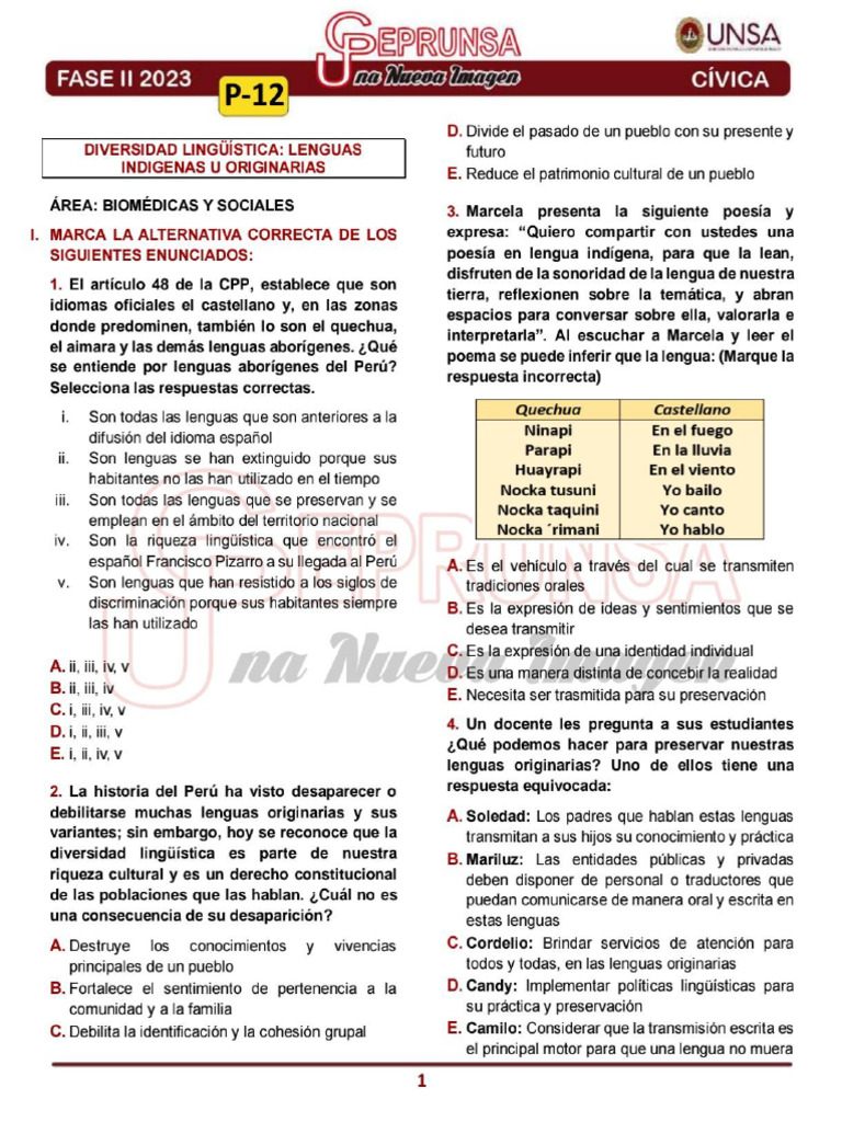 12 P | PDF