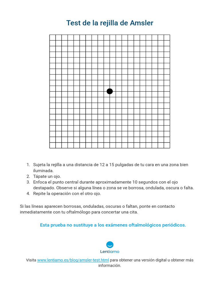 Amsler Grid Test ES | PDF