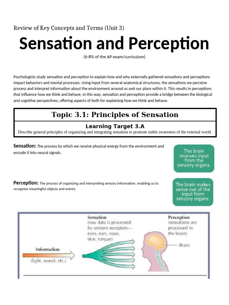 REVIEW+(Unit+3)+-+Sensation+and+Perception | PDF