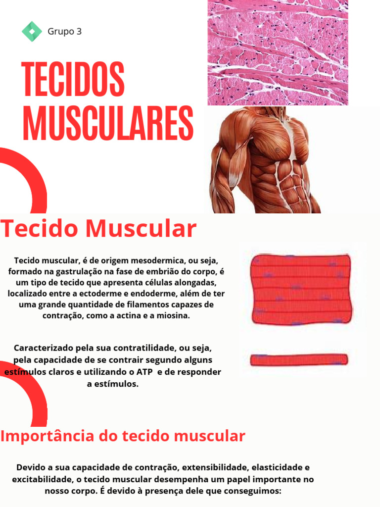 Tecidos Musculares | PDF