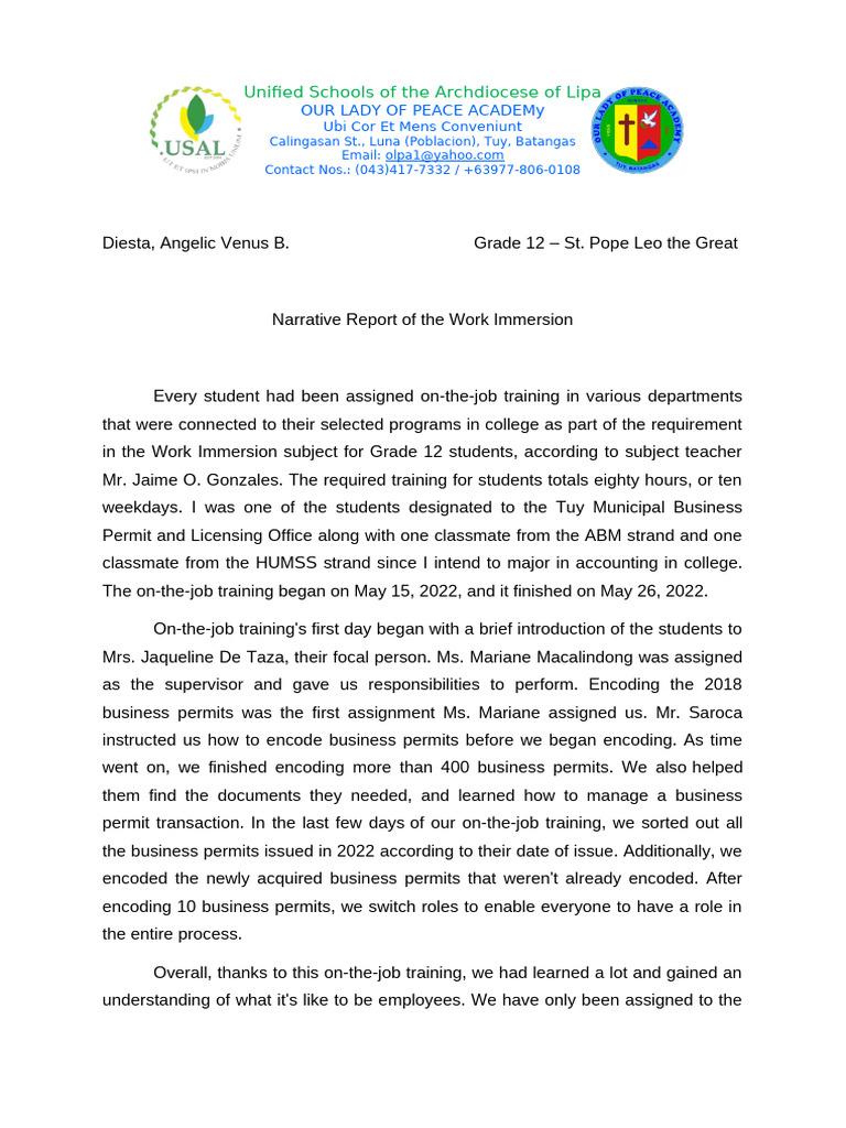 Narrative Report For Work Immersion | PDF