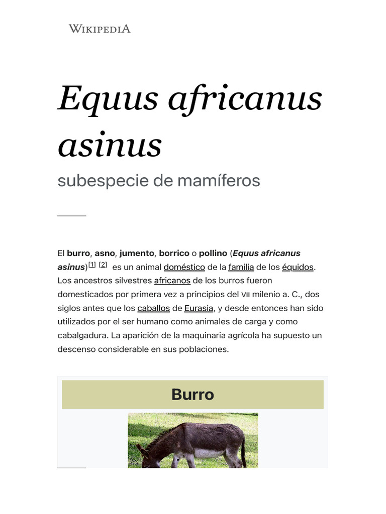 Equus Africanus Asinus - Wikipedia, La Enciclopedia Libre | PDF