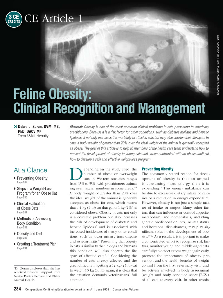 Image showcasing Feline Obesity - Clinical Recognition and Management | PDF