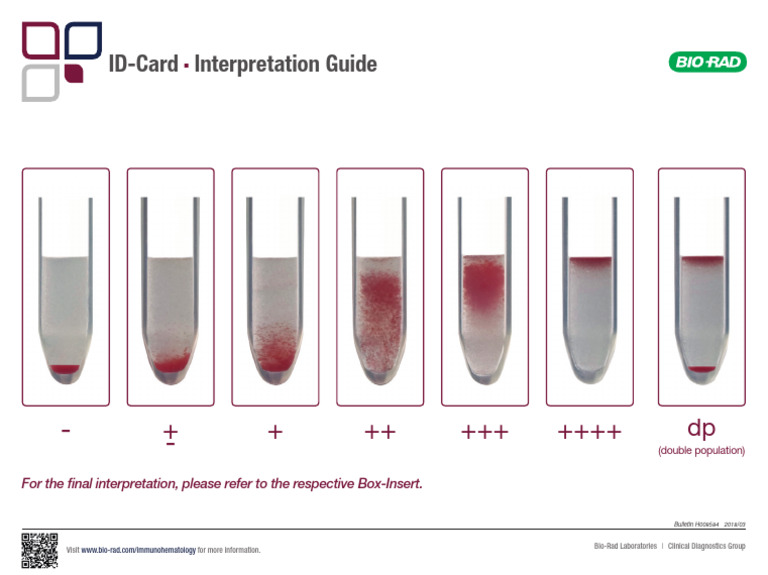 ID-Card Interpretation Guide - EN - 2018.03 | PDF